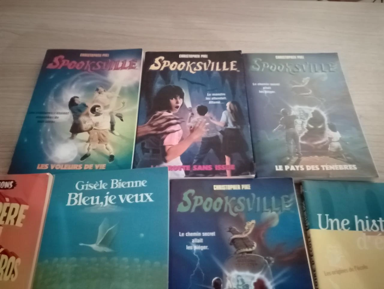Lot de 10 livres de poches divers (2.99 les 10)(35) – photo 2